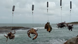 COM ESSAS ISCAS EU NÃƒO DOU VIAGEM PERDIDA NAS MINHAS PESCARIAS DE COSTEIRA GUARAPARI ES PESCARIA [upl. by Isla983]