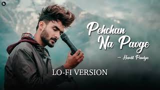 pehchan na paoge  LOFI VERSION 😞😮🤗 [upl. by Eked]