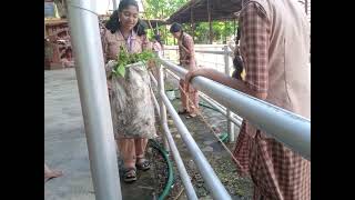 Gandhi Jayanti Cleaning campaign by our students Amrita Vidyalayam Pandalam [upl. by Lynnell]