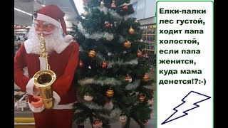 Кому мешают елки в Израиле VLOG [upl. by Lamej]