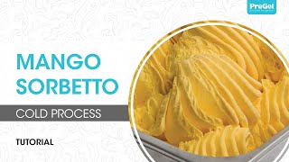 Cold Process Mango Sorbetto [upl. by Nipha]