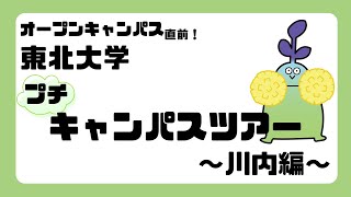 東北大学オープンキャンパス2024 川内キャンパス案内 [upl. by Sherilyn]