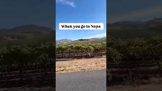 The differences between Napa amp Sonoma Wine regions… [upl. by Neda671]