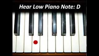 Hear Piano Note  Low D [upl. by Kcarb]