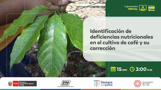 Identificación de deficiencias nutricionales en el cultivo de café y su corrección [upl. by Fennelly79]