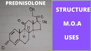 Prednisolone mechanism of Action  uses of prednisolone  prednisolone medicinal chemistry [upl. by Helfand]