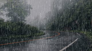 Lluvia Relajante Para Dormir y Descansar Profundamente en 3 minutos 💤 Lluvia en el Bosque Brumoso [upl. by Eillas]