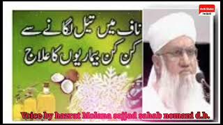 Naaf me tel dalne ke fayde  voice by hazrat molana sajjad nomani sahab dbmuftishahidimdadi [upl. by Cesare959]