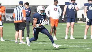 Auburn QBs and WRs in 2024 spring practice March 12 [upl. by Ethelyn]