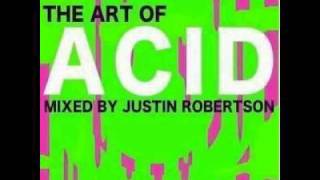 THE ART OF ACID mixed by justin robertson trks 11to15 [upl. by Wendeline]