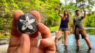 ⛏️ Cracking Open Rocks for INCREDIBLE Crystal Covered Fossils amp Exploring a Florida River 🛶🐊⛈️🐢 [upl. by Ellehcin]