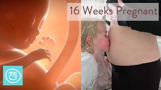 16 Weeks Pregnant What You Need To Know  Channel Mum [upl. by Geilich]