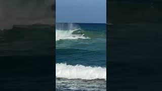 Ripping Jockos Today surf surfing hawaii northshore oahulife bigwaves [upl. by Pavla471]