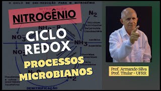 Nitrogênio Ciclo Redox [upl. by Anidan991]