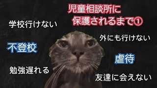 児童相談所に保護されるまでの話①【猫ミーム】 [upl. by Werdma]