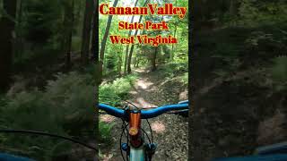 MTB trails at Canaan Valley State Park shorts seniorworkout mtb mountainbikinglife [upl. by Neih387]