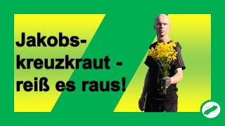 Jakobskreuzkraut  reißt es raus [upl. by Brigit]