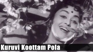 Old Tamil Songs  Kuruvi Koottam Pola  Kudumba Thalaivan  1962   MGR Saroja Devi [upl. by Cynthia893]