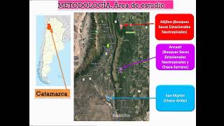 CL Etnobotánica Charla 8 Cáscaras y Barbas Romero Ana et al [upl. by Adnirim]