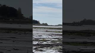 Bosham Chichester Low Tide [upl. by Enitsyrk302]