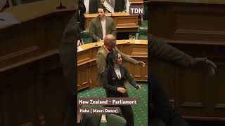 Haka dance mauri dance parliament protest newzealand politics democracy viral treanding [upl. by Northrop]