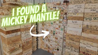 I FOUND A MICKEY MANTLE CARD HIDDEN IN A MASSIVE SPORTS CARD COLLECTION [upl. by Kotick778]