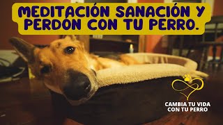 🌈 Meditación para Sanar el Alma con tu Perro  Conéctate con la Energía Positiva 🐾 [upl. by Aslam]