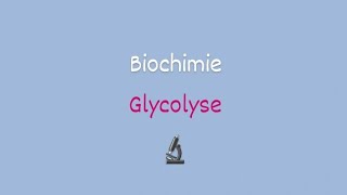 Biochimie approfondie 📍La Glycolyse [upl. by Fry]