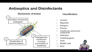 Antiseptics and disinfectants [upl. by Awe]