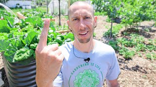 Doing This ONE THING Eliminates 90 of PEST PROBLEMS in the Garden [upl. by Drew]