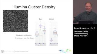 Quantifying Illumina NextGen Sequencing Libraries using digital PCR on the QuantStudio 3D [upl. by Matthiew884]