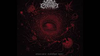 DEAD CHASM  In Abhorrent Obscurity OFFICIAL VIDEO FDA Records Death Metal [upl. by Diraj232]