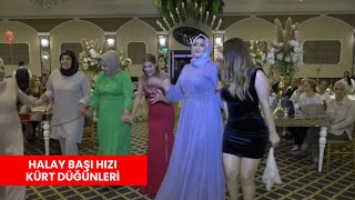 Halay Başı Hızlı Kürt Düğünleri MediaBrideTv [upl. by Cardwell]