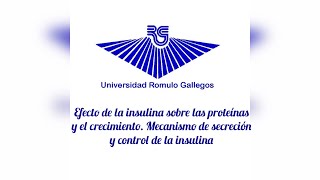 02  Efecto de la insulina sobre las proteínas y el crecimiento Mecanismo de secreción y control [upl. by Gnahc]