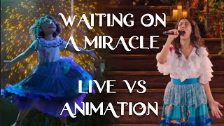 Encanto  Waiting On A Miracle  Live Vs Animation  Side By Side Comparison  Stephanie Beatriz [upl. by Enala]