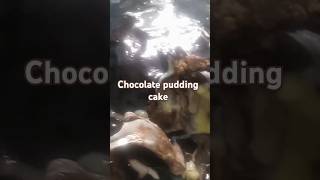 chocolate pudding cake recipe Anjumkakitchencakerecipes [upl. by Latouche]