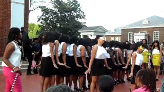 AKA Zeta Xi Chapter Probate Pt 1 [upl. by Negah]