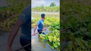 বাবা জলের মধ্যে কি করছে😮video minivlog shortvideo youtubeshorts shorts viralvideo [upl. by Timus]