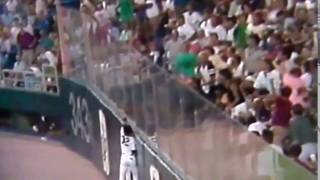 Dan Gladden Great Catch Against Plexiglass Metrodome [upl. by Phalan]