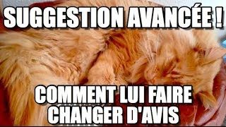 SUGGESTION  comment faire CHANGER DAVIS à quelquun et lui faire acheter de la pâtée [upl. by Uhej944]