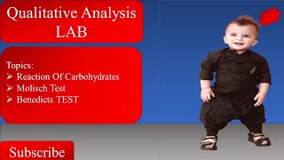 Qualitative Analysis  Reactions Of Carbohydrates  Molisch Test  benedicts Test  Bochemistry [upl. by Eckhardt936]