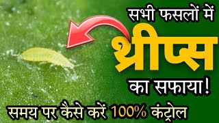 Thrips Control  Thrips Control Insecticides  सभी फसलों में थ्रिप्स का नियंत्रण by PC Verma [upl. by Potter443]