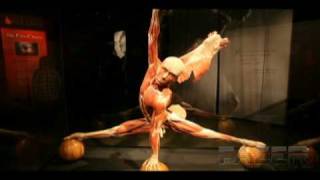 Body Worlds Exhibit Toronto [upl. by Amado]