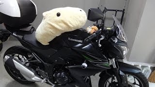 Z250kawasaki Impression Review [upl. by Earazed389]