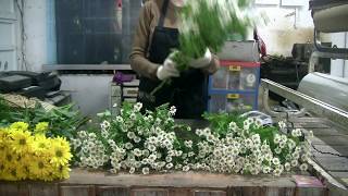 How to make a flower bouquet with lisianthus chrysanthemum amp chamomile by The Flower Factory [upl. by Airyt349]