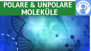 Polare amp unpolare Moleküle einfach erklärt  Beispiele Wasser amp Kohlenstoffdioxid  Chemie [upl. by Einyaj745]