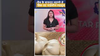 Ban के बावजूद धड़ल्ले से बिक रहा Chinese Garlic। [upl. by Nnylirret]