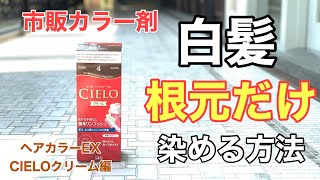 【白髪染め】家でもできる白髪染め根元のみ染めるやり方！！家で一緒にやってみよう [upl. by Dole172]