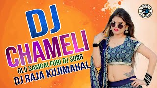 Chameli Hai Hai Sambalpuri Song  Chameli Hai Hai Sambalpuri Song Dj  Dj Raja Kujimahal [upl. by Leihcar]