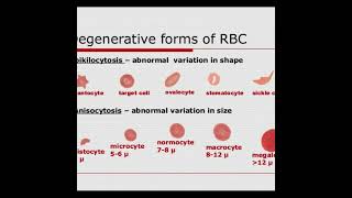 Anisocytosis  Symptoms and Causes  Diagnosis  Treatment  Prevention healthcare [upl. by Aron]